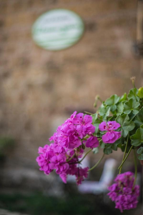 B&B Etruscan Garden Sutri Buitenkant foto