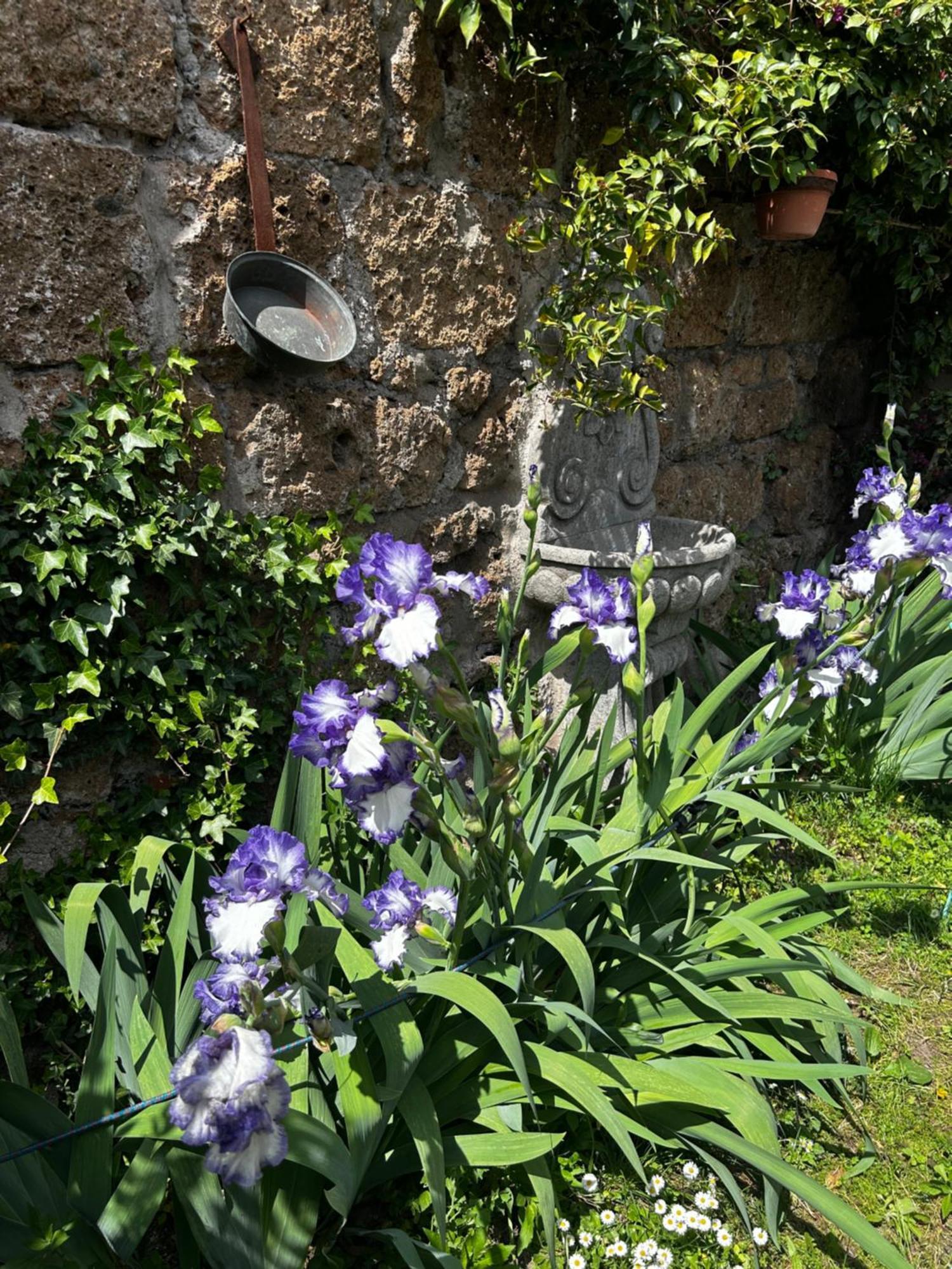 B&B Etruscan Garden Sutri Buitenkant foto